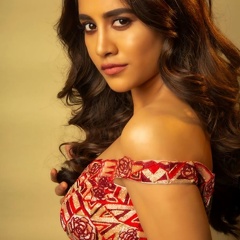 Mesmerizing Nabha Natesh Photoshoot