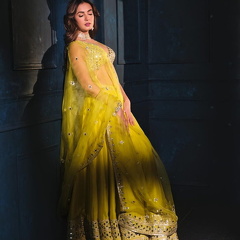 Sonal Chauhan 