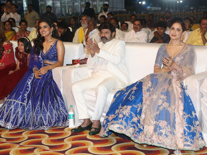 Daaku Maharaaj Success Meet Photos  (26)-1737605522